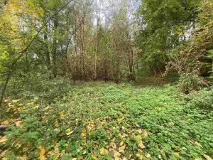 Prodej pozemku, Svijany, 1003 m2