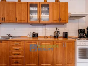 Prodej chaty, Černý Důl, 340 m2