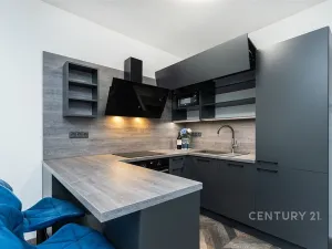 Pronájem bytu 1+kk, Praha, Kolbenova, 30 m2