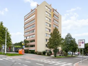 Pronájem bytu 3+kk, Praha - Žižkov, U kněžské louky, 67 m2