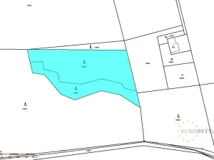 Prodej lesa, Bruzovice, 6273 m2