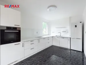 Prodej komerční nemovitosti, Měchenice, Hlavní, 330 m2