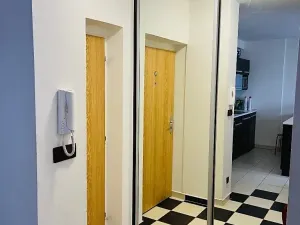 Pronájem bytu 2+kk, Brno, Kounicova, 52 m2