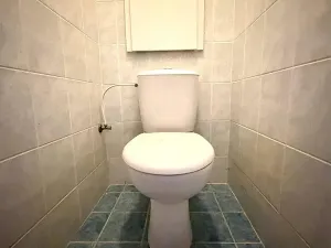 Prodej bytu 2+1, Praha - Žižkov, Pod lipami, 52 m2