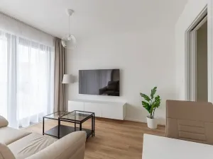 Pronájem bytu 1+kk, Brno, Lidická, 41 m2