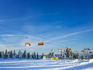 Prodej bytu 1+kk, Boží Dar, 33 m2