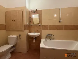 Pronájem bytu 1+1, Havířov, Okrajová, 35 m2