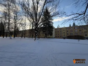 Pronájem bytu 1+1, Havířov, Okrajová, 35 m2