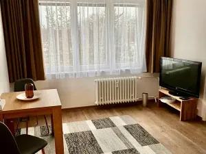 Pronájem bytu 1+1, České Budějovice, Staroměstská, 39 m2