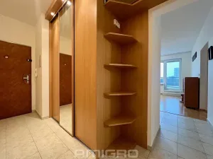 Pronájem bytu 2+kk, Brno, Plachty, 58 m2