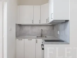 Pronájem bytu 1+1, Praha - Smíchov, Preslova, 47 m2