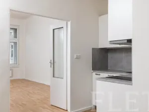 Pronájem bytu 1+1, Praha - Smíchov, Preslova, 47 m2