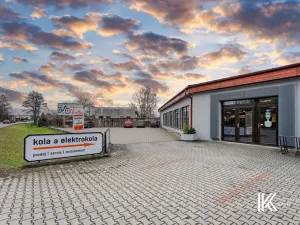 Prodej obchodního prostoru, Pardubice, Přeloučská, 779 m2