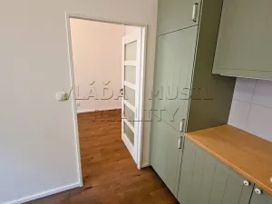 Pronájem bytu 1+1, Praha - Libeň, Novákových, 37 m2