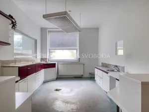 Prodej vily, Bechyně, Čechova, 660 m2