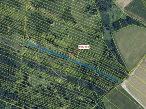 Dražba lesa, Nová Hradečná, 6275 m2