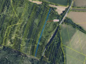 Dražba lesa, Nová Hradečná, 6750 m2