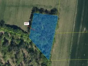 Dražba lesa, Vlčí Habřina, 4658 m2