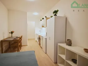 Pronájem bytu 1+kk, Brno, Francouzská, 21 m2