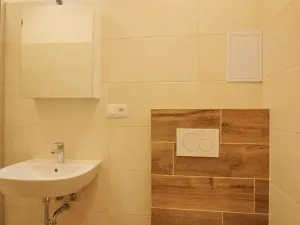 Pronájem bytu 1+kk, Brno, Francouzská, 21 m2