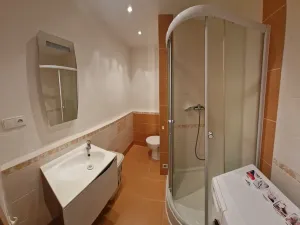 Pronájem bytu 1+kk, Plzeň, Jesenická, 32 m2