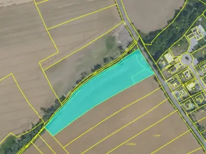 Prodej pole, Brandýs nad Labem-Stará Boleslav, 11346 m2