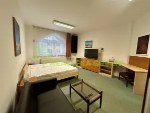 Pronájem bytu 2+kk, Vizovice, Lázeňská, 65 m2