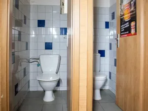 Pronájem restaurace, Sokolov, Karla Havlíčka Borovského, 490 m2