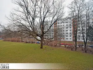 Pronájem bytu 1+kk, Ostrava, Heyrovského, 24 m2