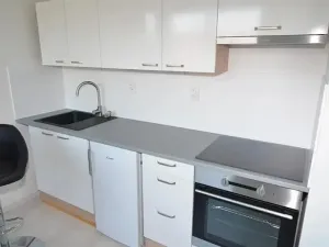Pronájem bytu 1+kk, Vestec, U Hrubých, 35 m2