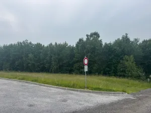 Prodej pozemku, Slavče - Dobrkovská Lhotka, 1251 m2