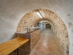 Prodej ostatní, Schrattenberg, Rakousko