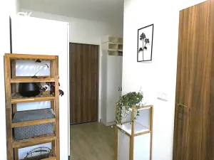 Pronájem bytu 1+kk, Škvorec, 30 m2