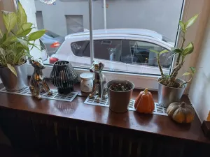 Pronájem restaurace, Praha - Čakovice, Cukrovarská, 155 m2