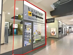 Pronájem obchodního prostoru, Praha - Nové Město, Na příkopě, 29 m2