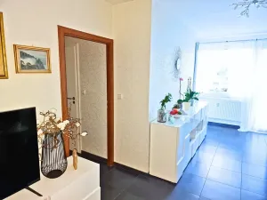 Prodej bytu 2+1, Příbram, Dlouhá, 53 m2