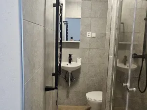 Pronájem bytu 1+1, Český Těšín, Hornická, 39 m2