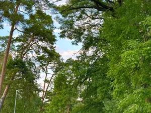 Prodej pozemku pro bydlení, Luštěnice, 9366 m2