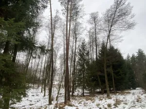 Prodej pozemku, Veliny, 1630 m2