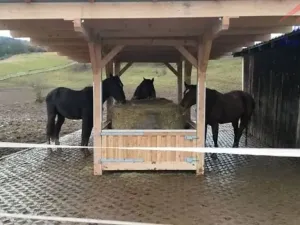 Prodej pozemku, Málkov, 20000 m2