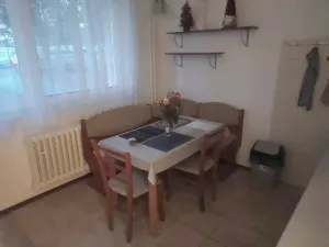 Pronájem bytu 2+1, Brno, Třískalova, 60 m2