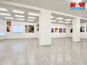 Pronájem obchodního prostoru, Louny, Říční, 216 m2