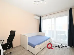 Pronájem bytu 1+kk, Praha - Žižkov, Olgy Havlové, 38 m2