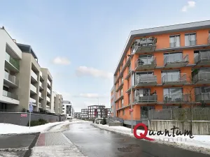 Pronájem bytu 1+kk, Praha - Žižkov, Olgy Havlové, 38 m2