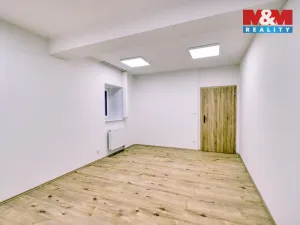 Pronájem kanceláře, Dobřany, Alšova, 55 m2