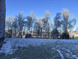 Pronájem bytu 2+1, Ostrava - Poruba, Opavská, 44 m2