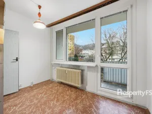 Prodej bytu 2+1, Ústí nad Labem - Střekov, Kamenná, 50 m2