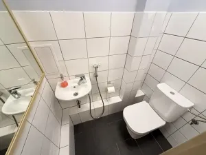 Pronájem bytu 2+kk, Brno, Tábor, 51 m2