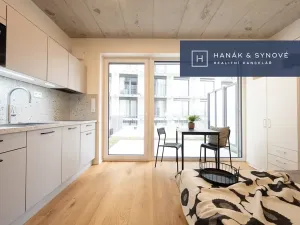 Pronájem bytu 1+kk, Brno, Koliště, 22 m2