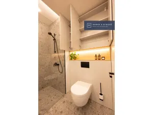 Pronájem bytu 1+kk, Brno, Koliště, 22 m2